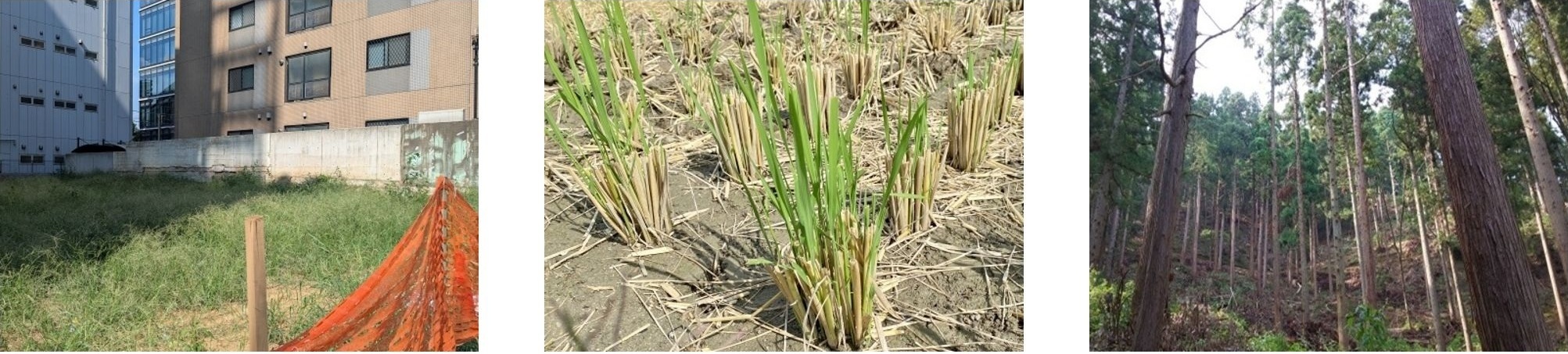 宅地、農地、山林を横に並べた写真